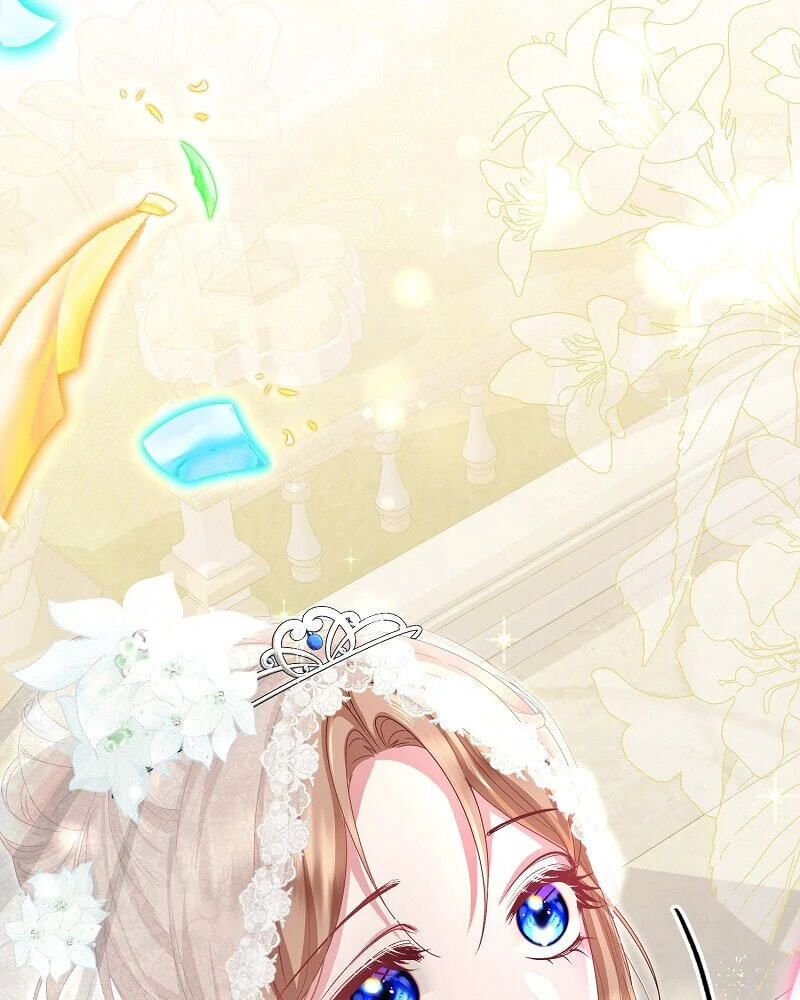 Read When Cinderella