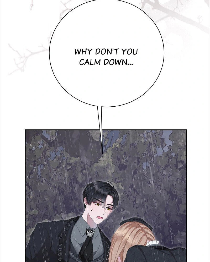 Read When Cinderella