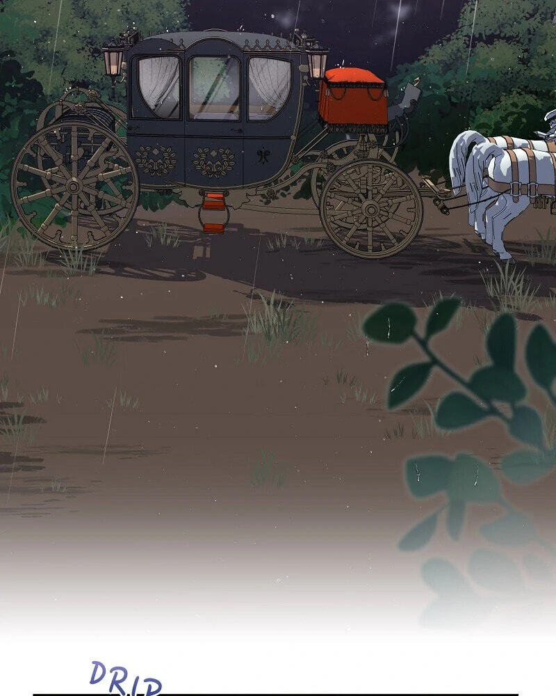 Read When Cinderella