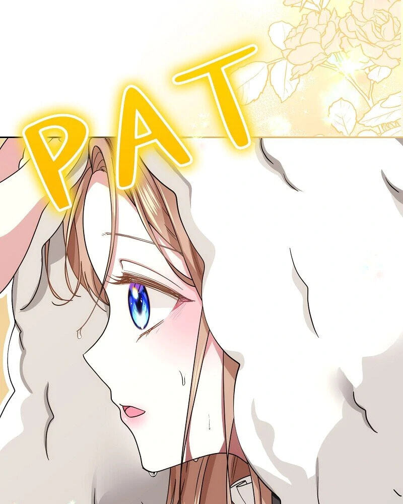 Read When Cinderella