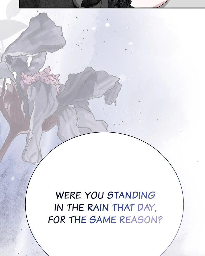 Read When Cinderella
