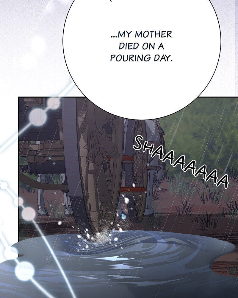 Read When Cinderella
