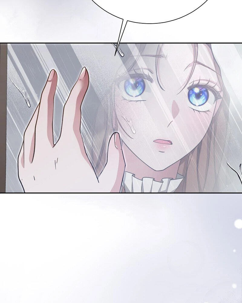 Read When Cinderella