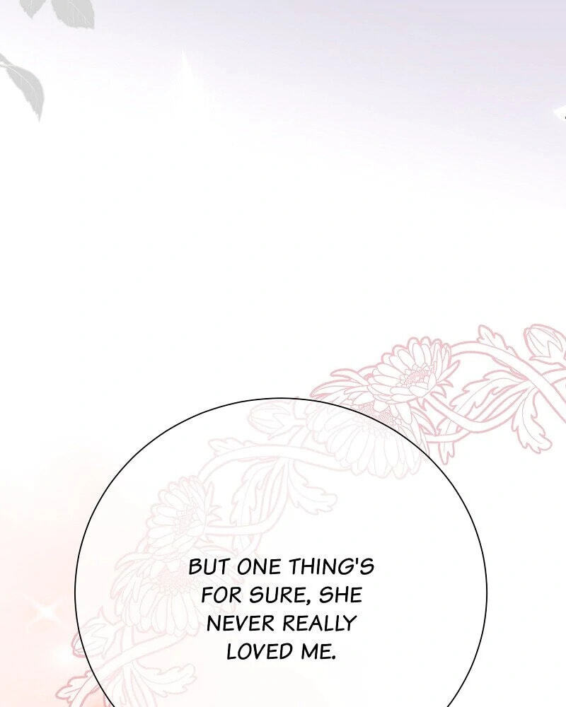 Read When Cinderella