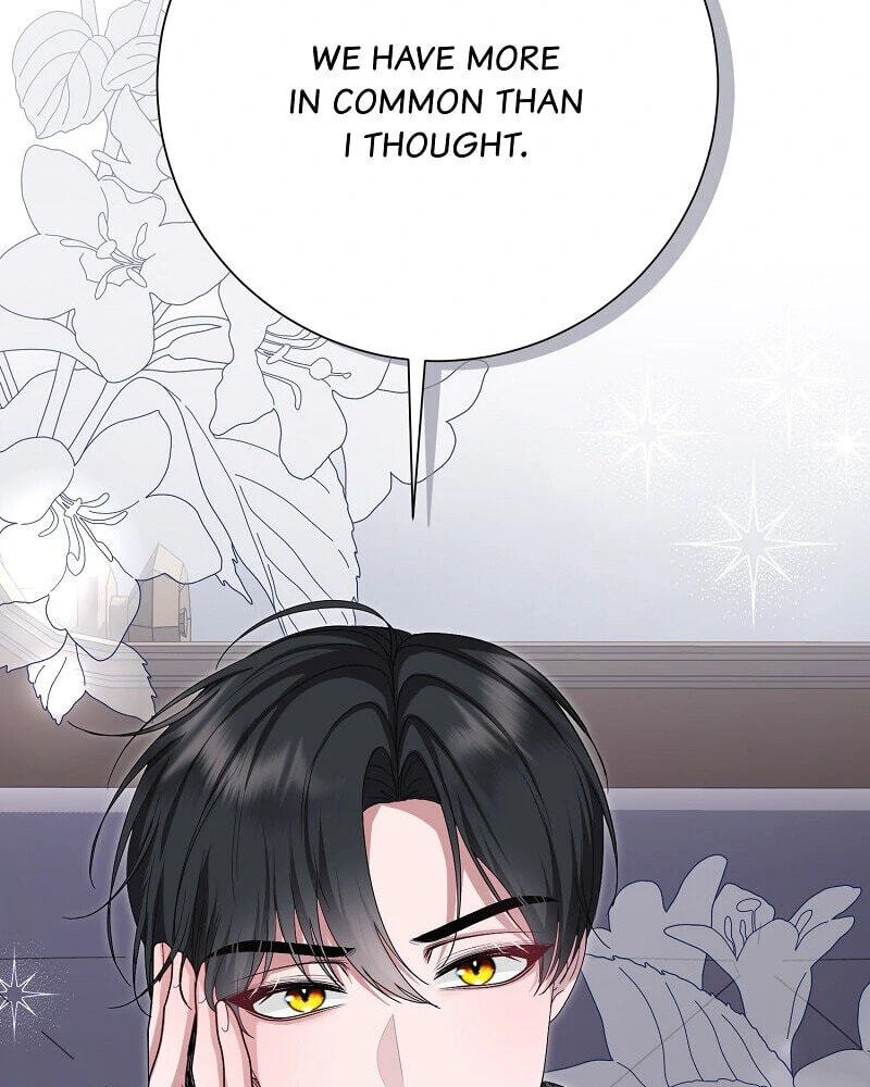 Read When Cinderella