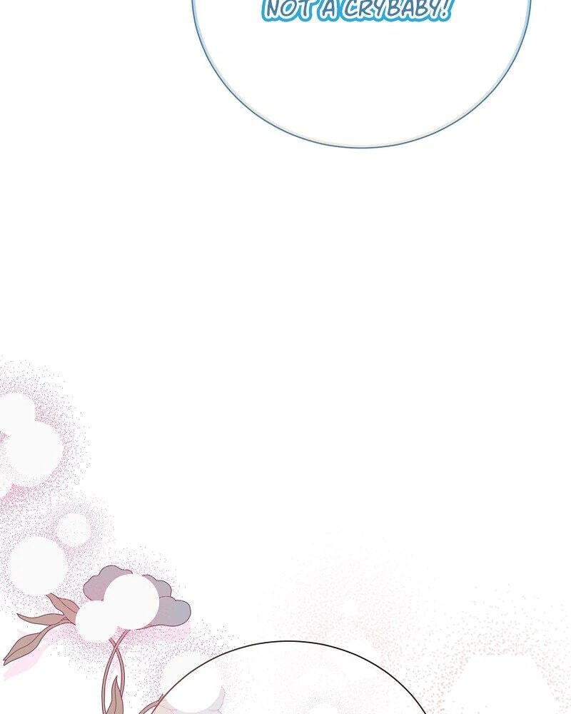 Read When Cinderella