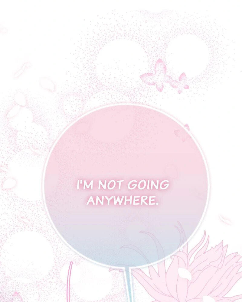 Read When Cinderella