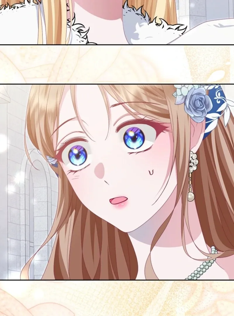 Read When Cinderella