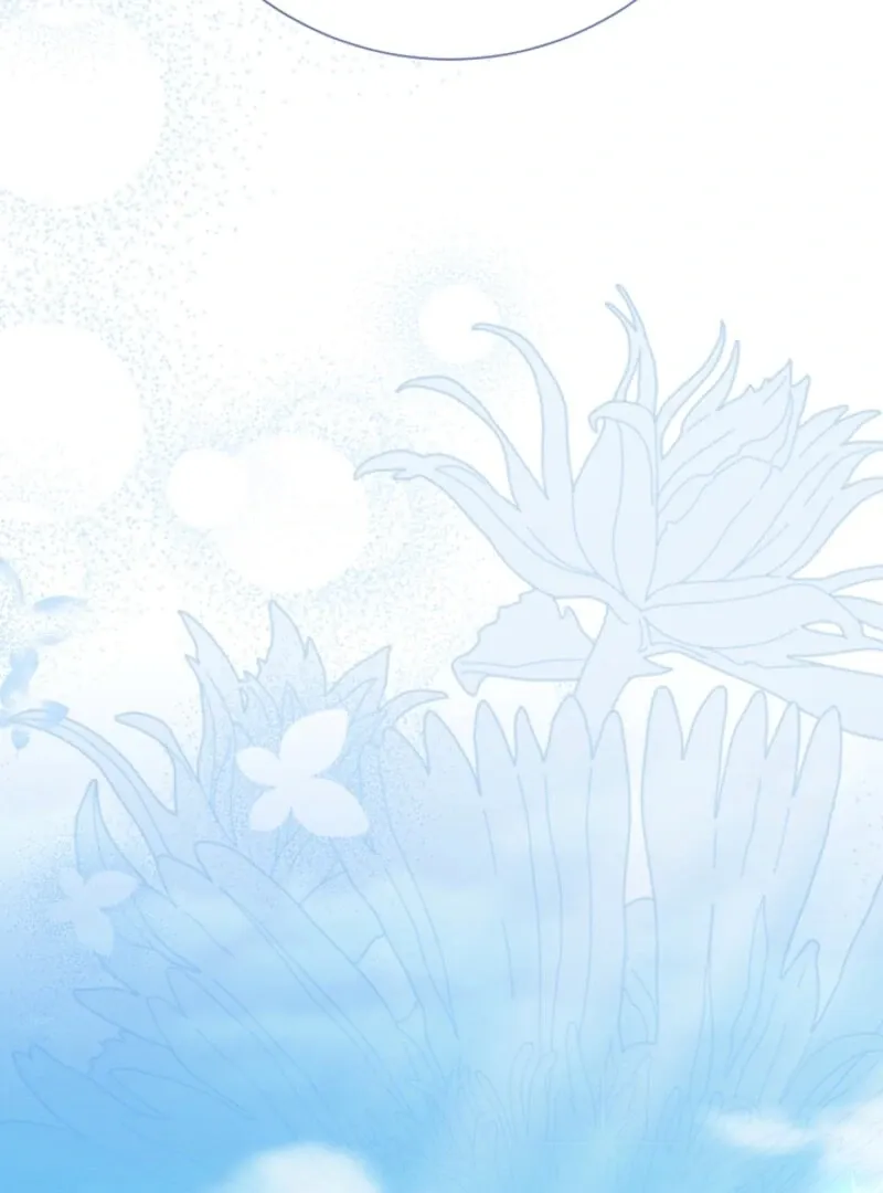 Read When Cinderella