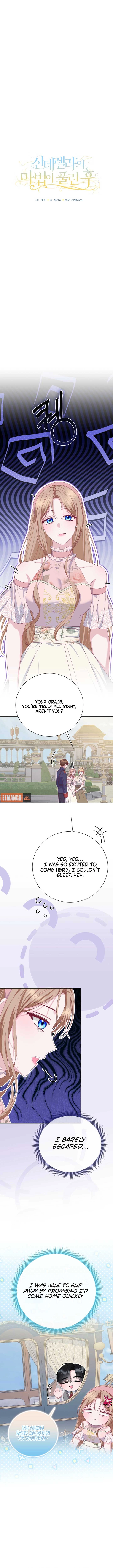 Read When Cinderella