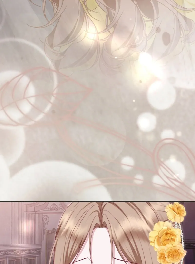 Read When Cinderella