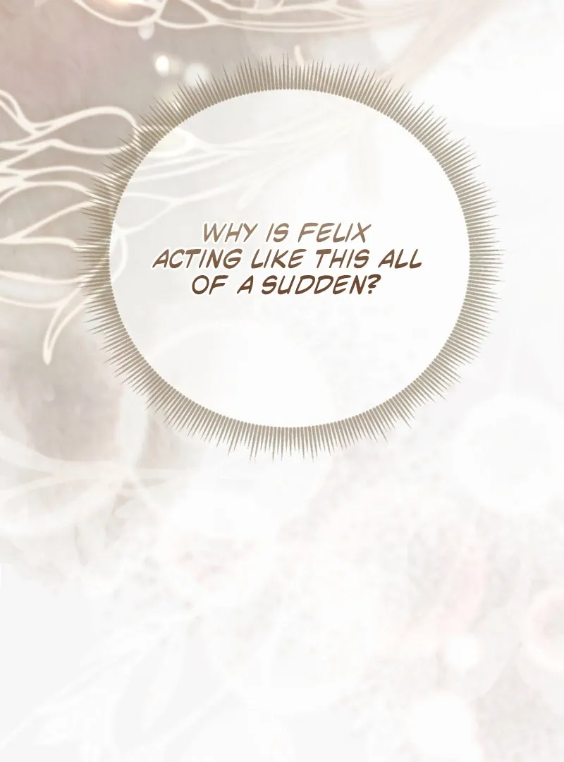 Read When Cinderella