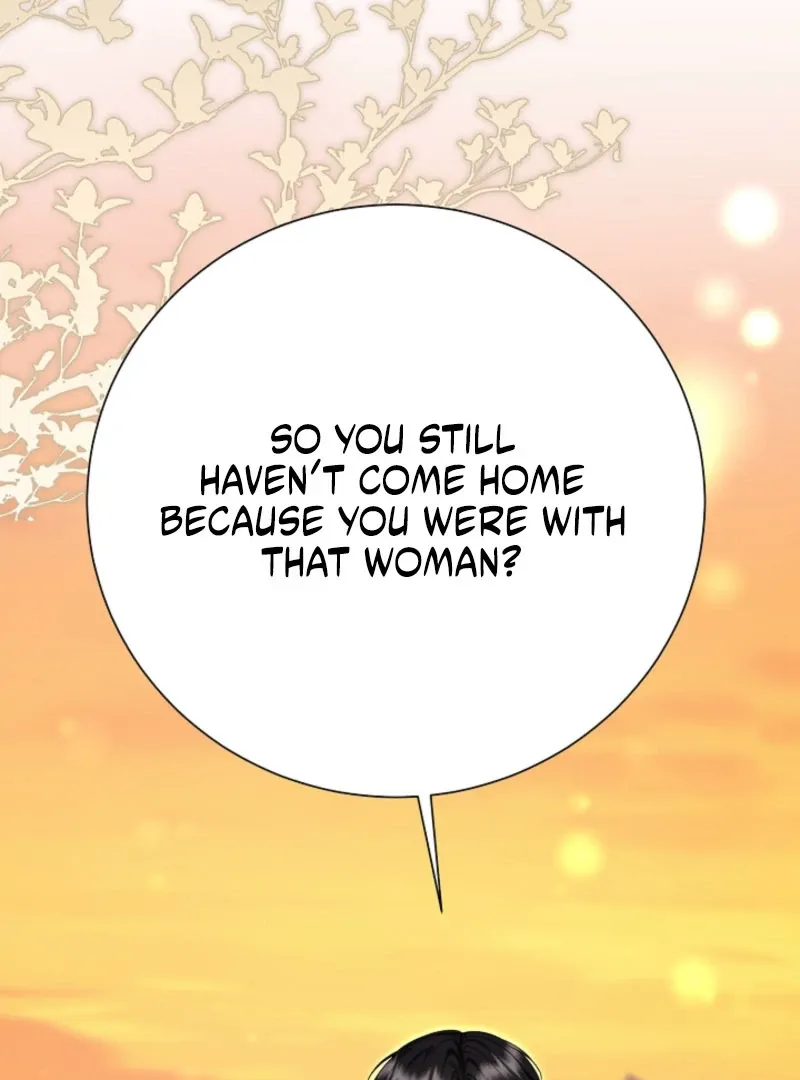 Read When Cinderella