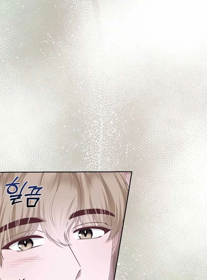 Read When Cinderella