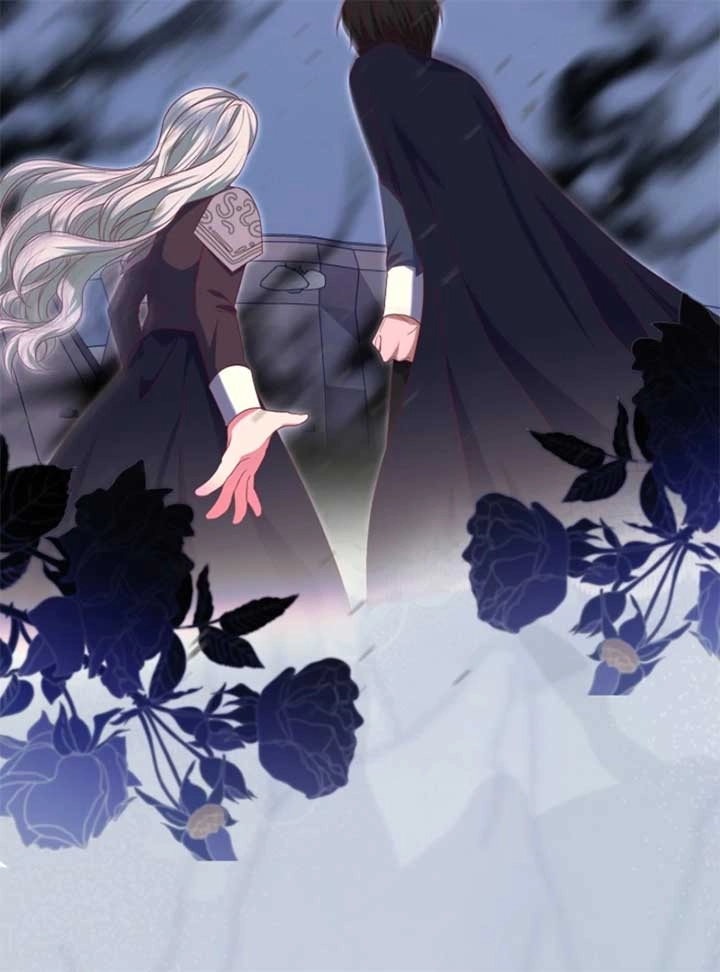 Read When Cinderella