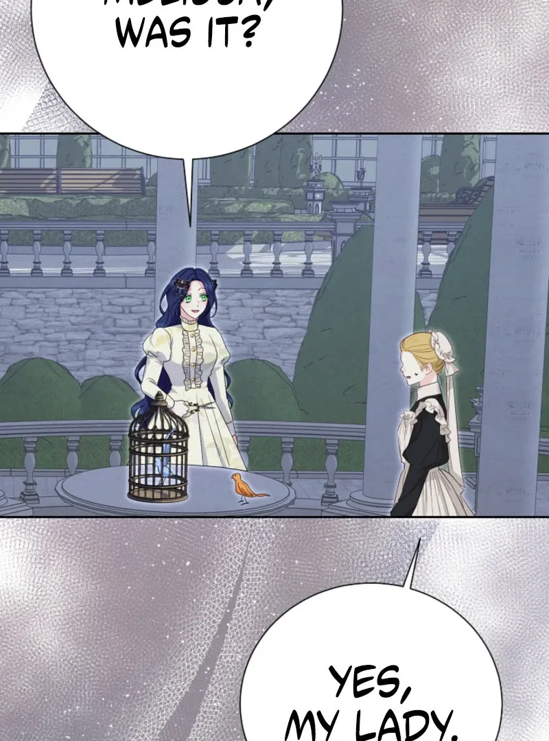 Read When Cinderella