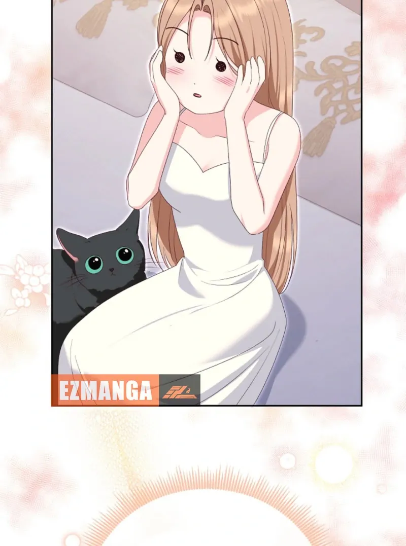 Read When Cinderella