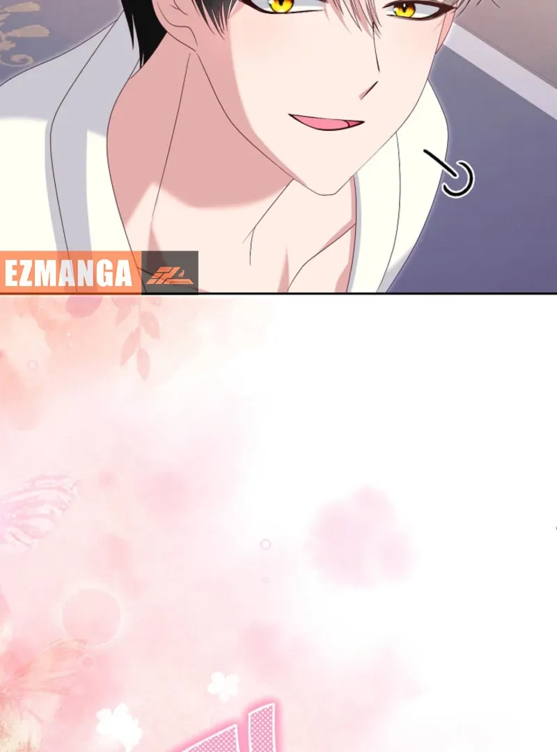 Read When Cinderella