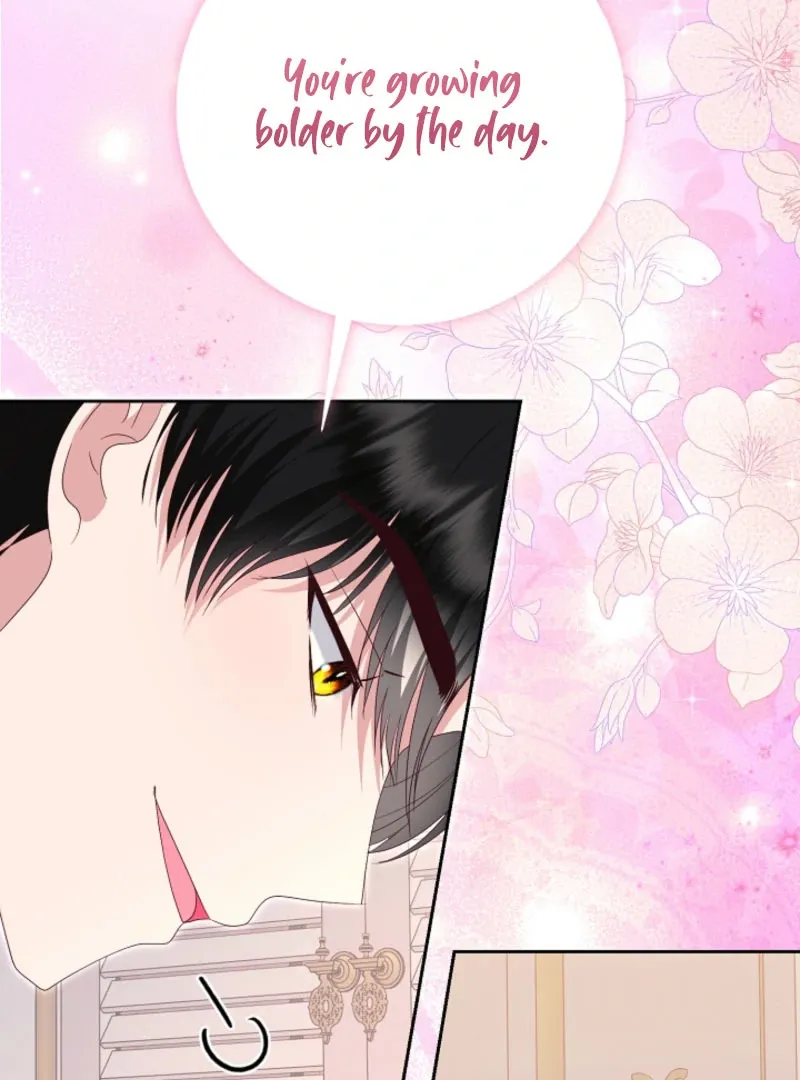 Read When Cinderella