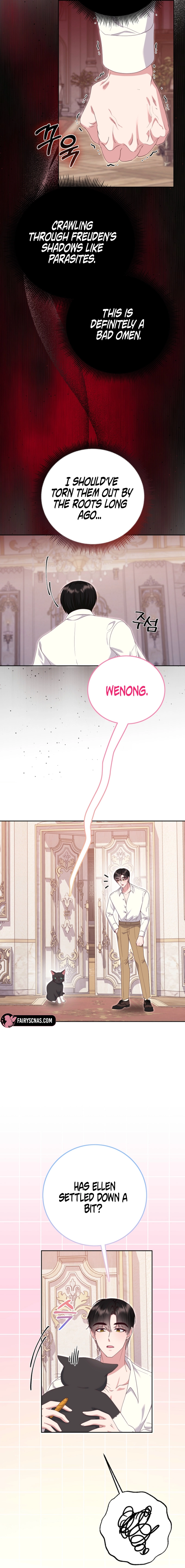 Read When Cinderella
