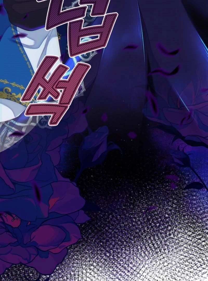 Read When Cinderella