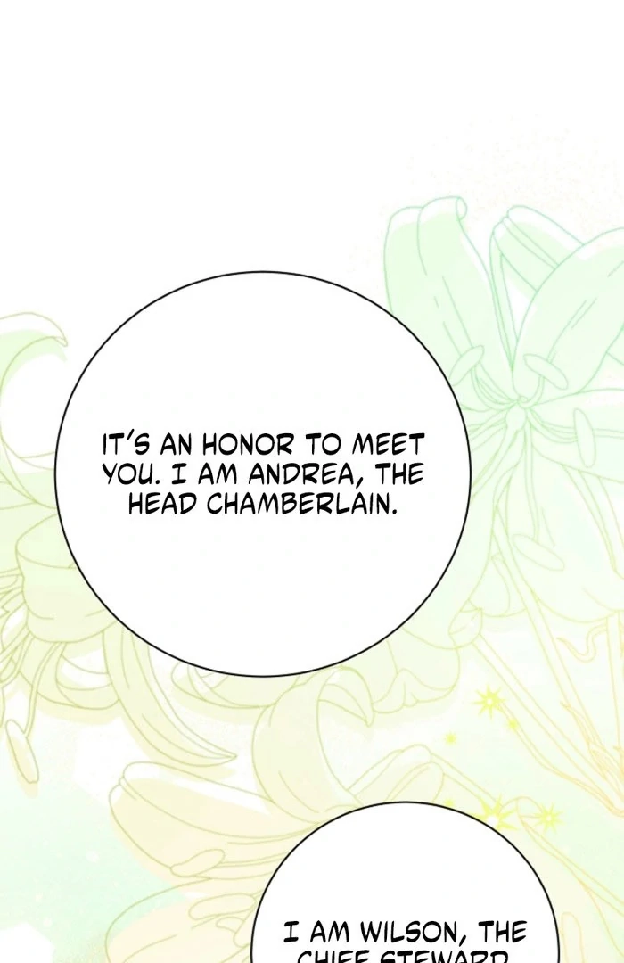 Read When Cinderella