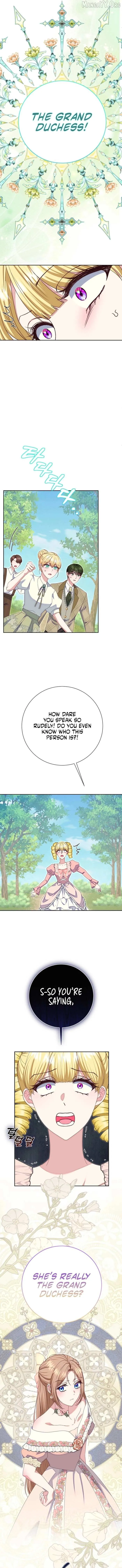 Read When Cinderella
