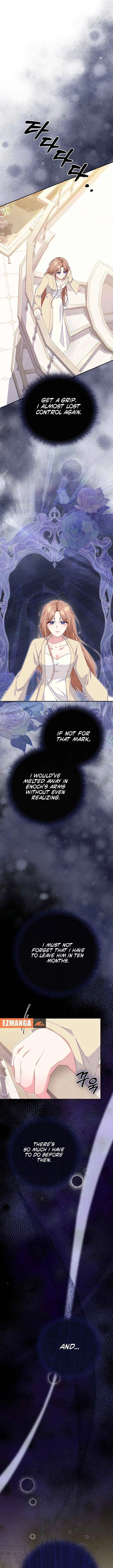 Read When Cinderella