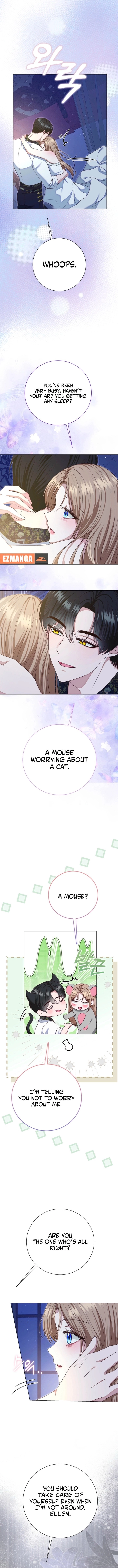 Read When Cinderella