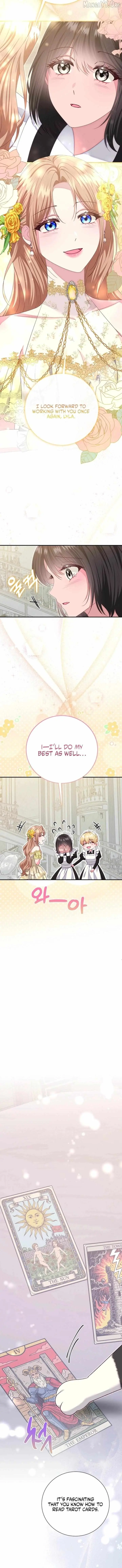 Read When Cinderella