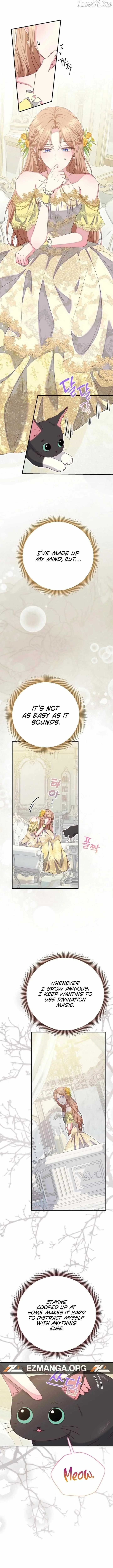 Read When Cinderella