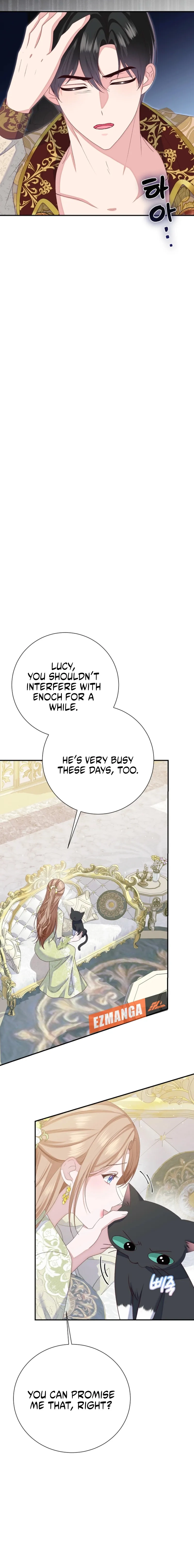 Read When Cinderella