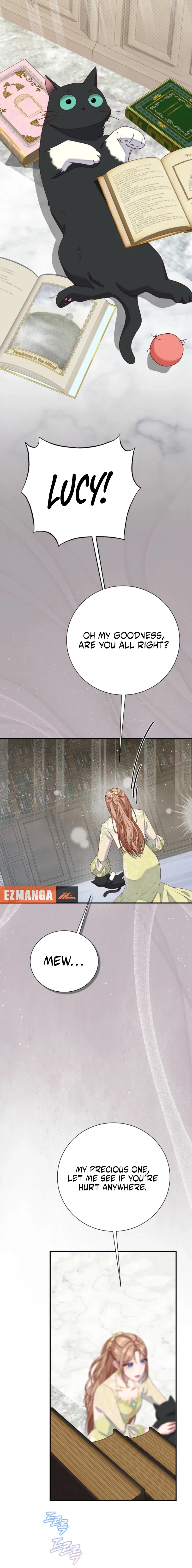 Read When Cinderella