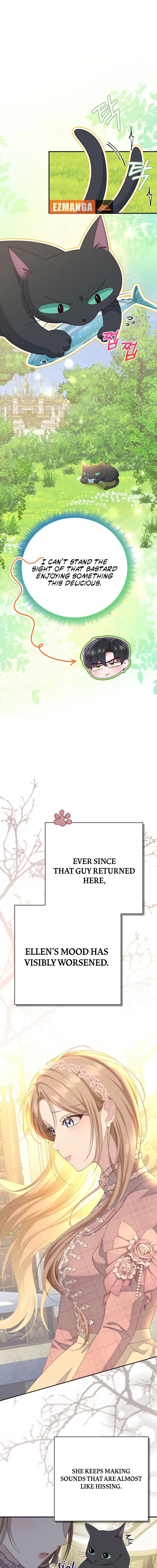 Read When Cinderella