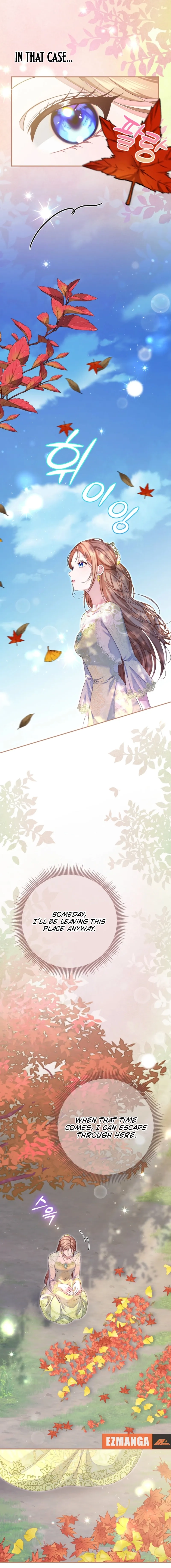 Read When Cinderella