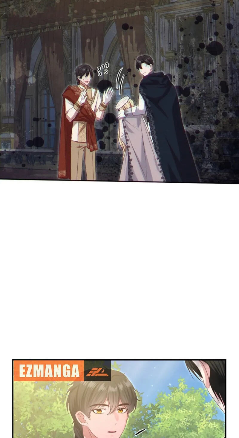 Read When Cinderella