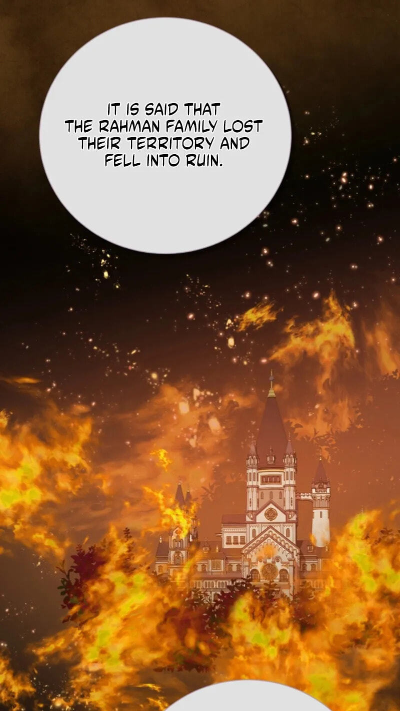 Read When Cinderella