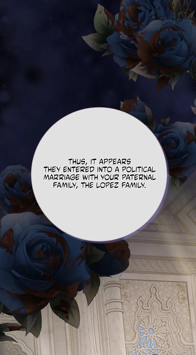 Read When Cinderella