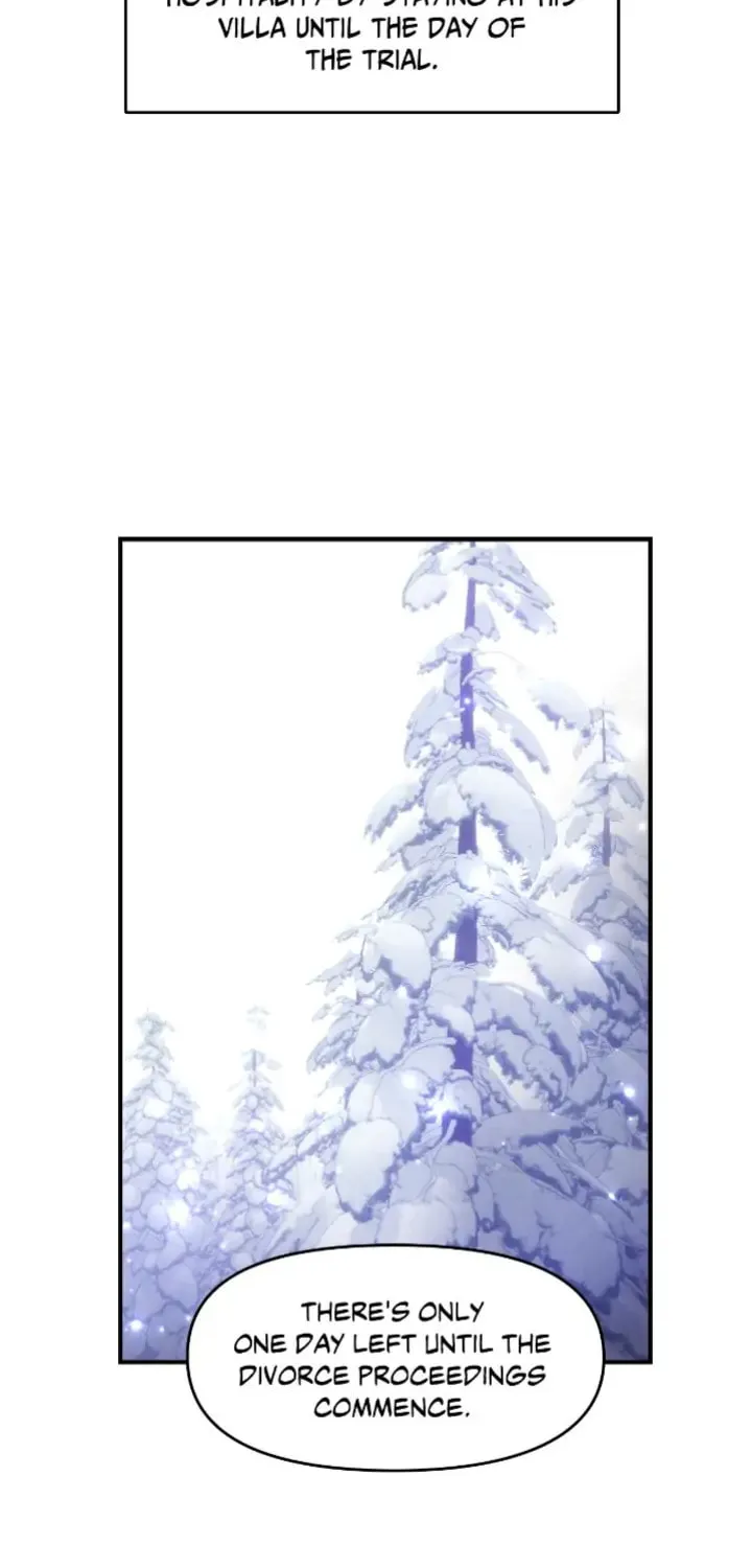 Read When I Stopped Being Your Shadow chapter 12 image 33 on Lezhin