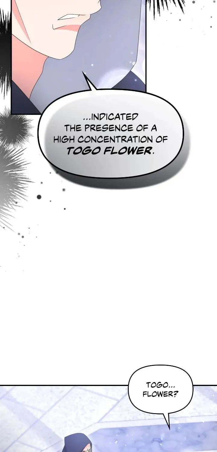 Read When I Stopped Being Your Shadow chapter 60 image 36 on Lezhin