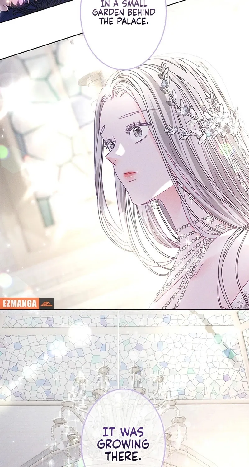 Read When It Turns Red chapter 2 image 45 on Lezhin