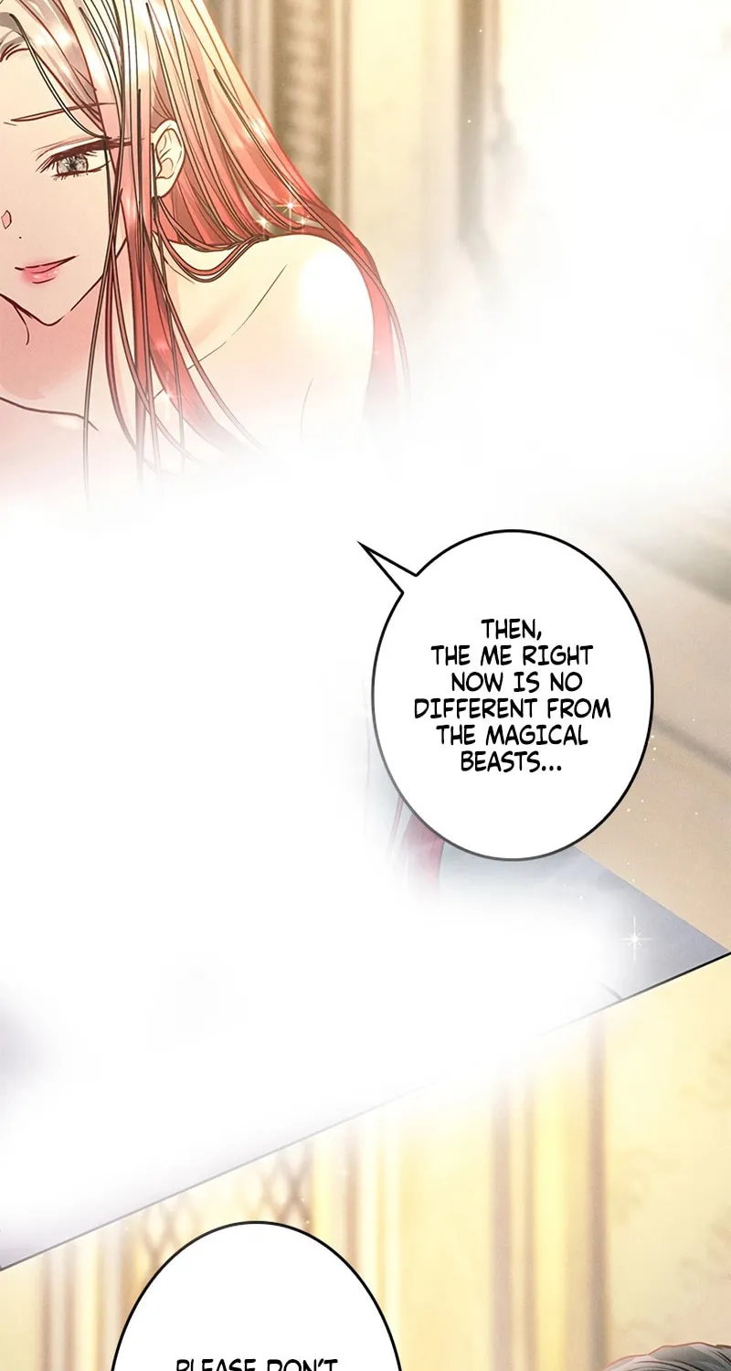 Read When It Turns Red chapter 5 image 63 on Lezhin