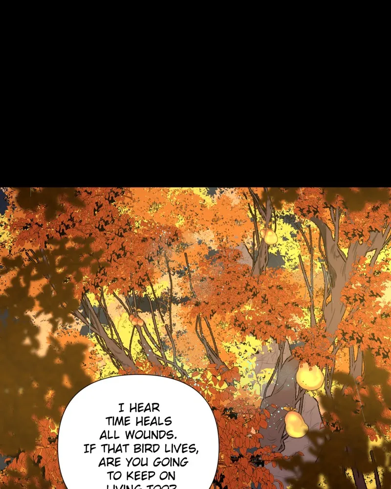 Read When Jasy Whistles chapter 62 image 63 on Lezhin
