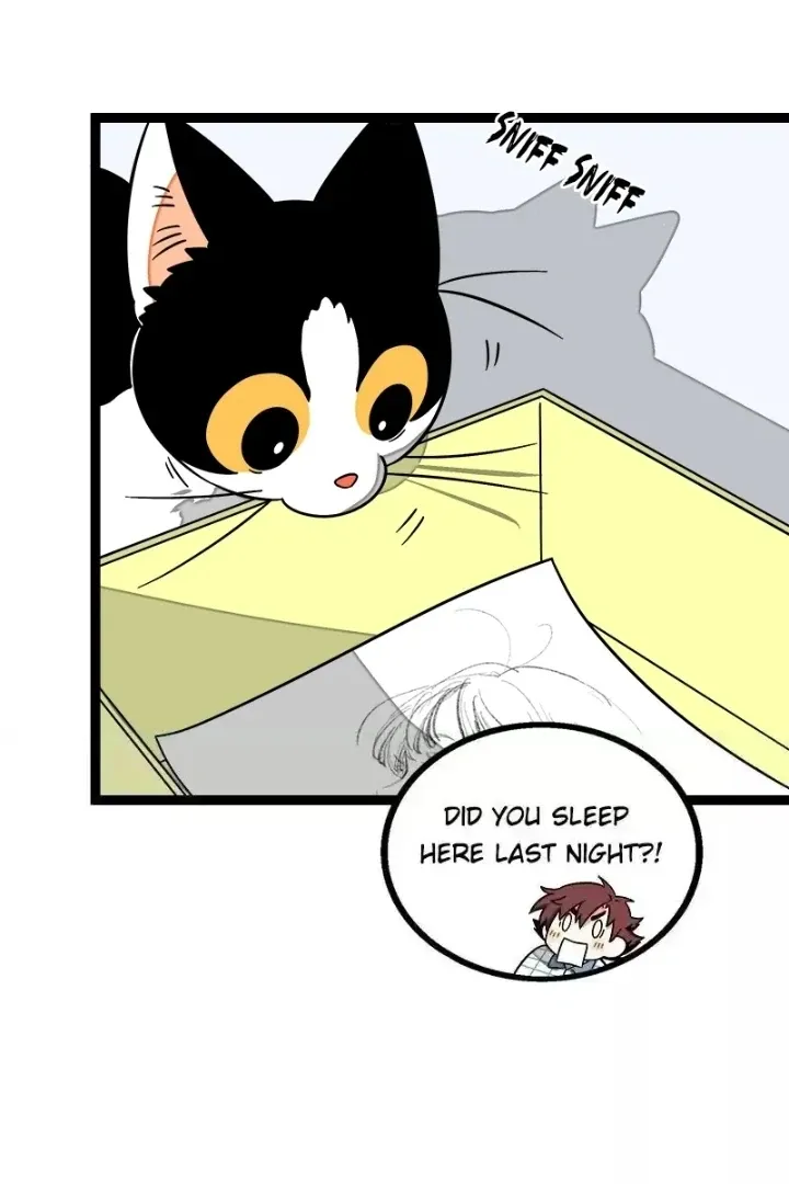 Read When Monday Met Sunday chapter 36 image 4 on Lezhin