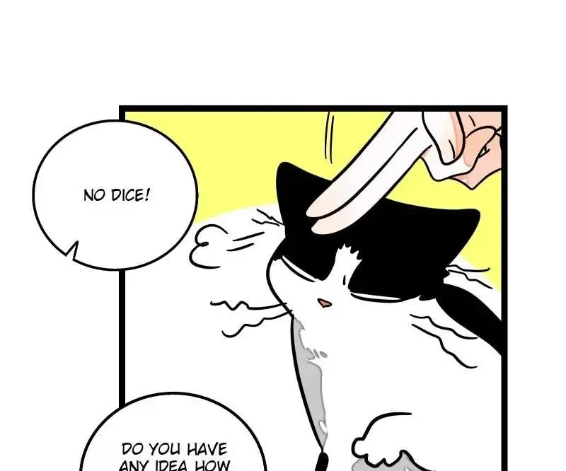 Read When Monday Met Sunday chapter 56 image 75 on Lezhin