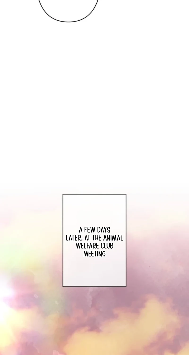 When My Enemies Weep Chapter 47 page 33 - 