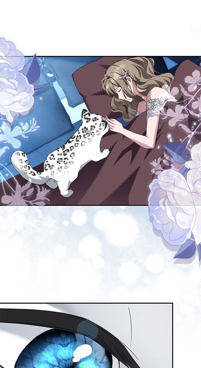 Read When the Archduke