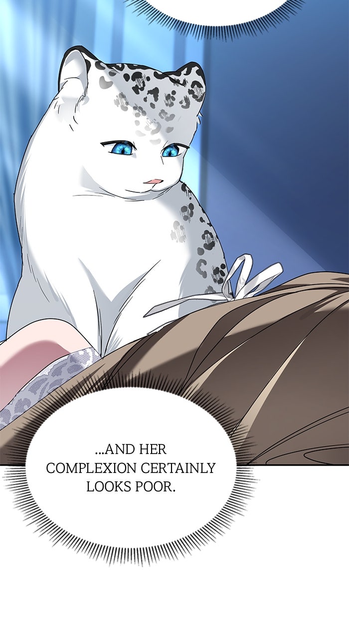 Read When the Archduke