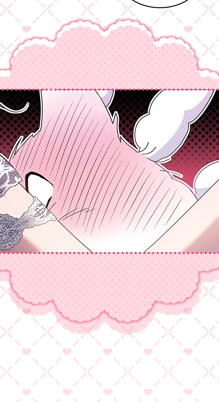 Read When the Archduke