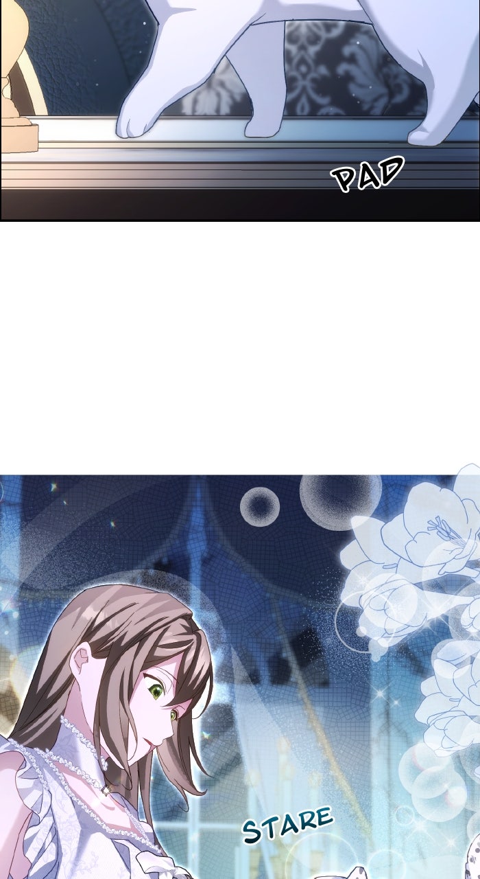 Read When the Archduke